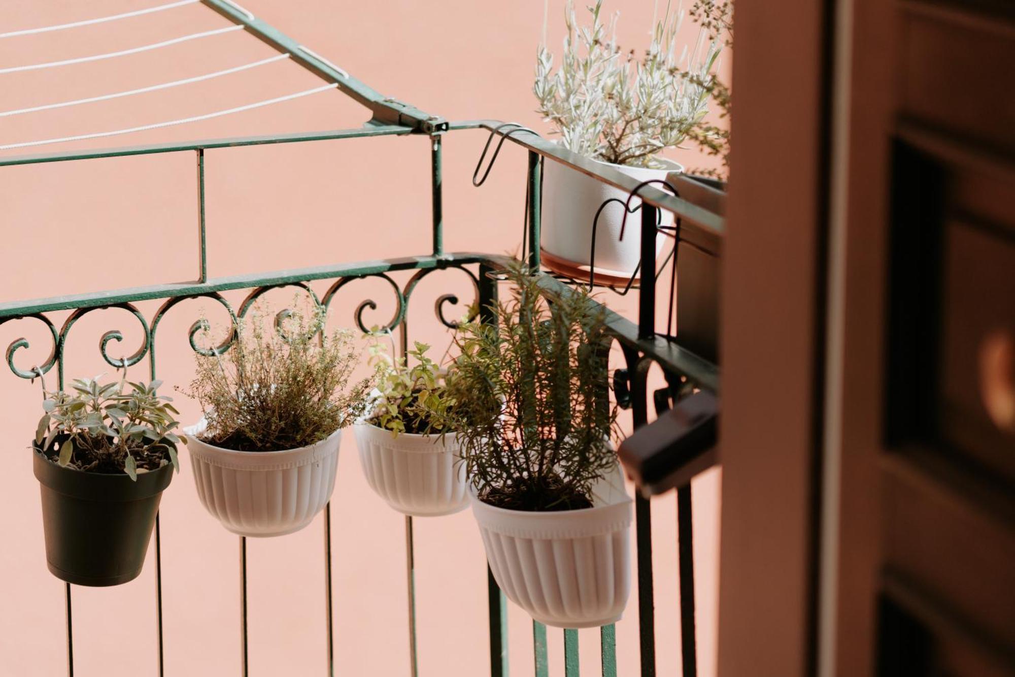 Il Castagno Holiday Home Teriasca Bagian luar foto