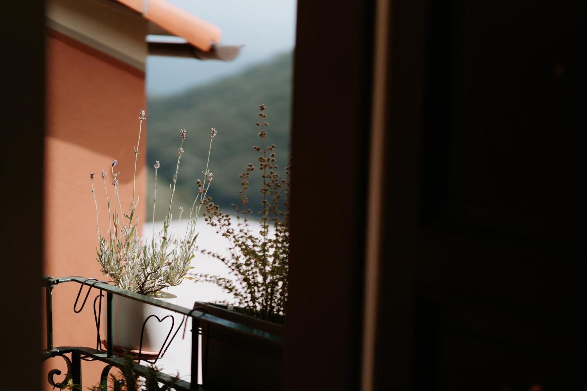 Il Castagno Holiday Home Teriasca Bagian luar foto